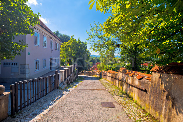 Ljubljana old city cobbled upper town walkway Stock photo © xbrchx