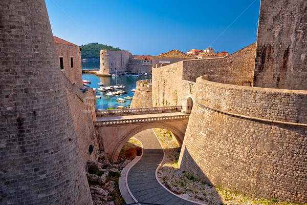 Dubrovnik city walls and harbor view Stock photo © xbrchx