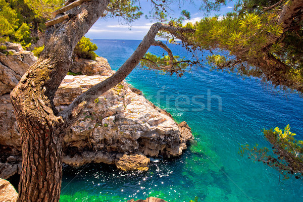 Zlatne Stijene stone beach in Pula view Stock photo © xbrchx