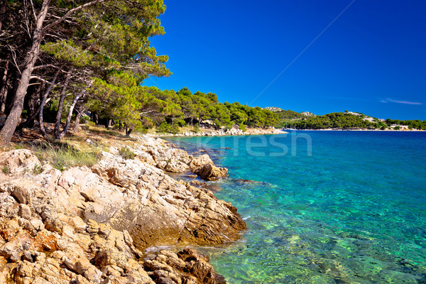 Turquoise sea and stone beach view Stock photo © xbrchx