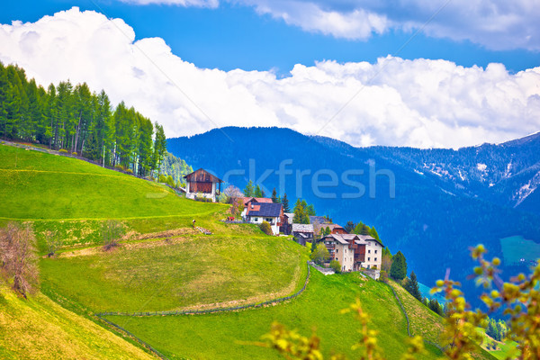 Idyllic alpine vilage on the slope Stock photo © xbrchx