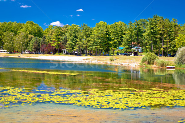 Stock photo: Soderica lake green landscape and water lilys view