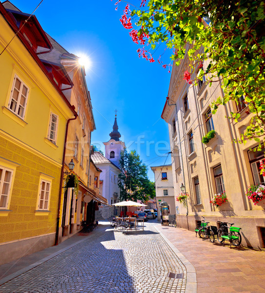 Cobbled old street and church of Ljubljana vertical view Stock photo © xbrchx