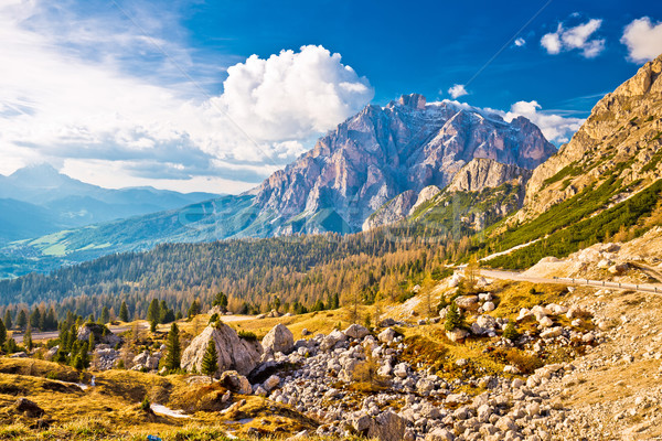 Alto alpino estrada paisagem Foto stock © xbrchx