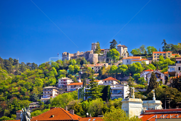 City of Rijeka Trsat sanctuary view Stock photo © xbrchx