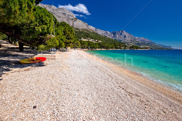 Idyllic beach Punta Rata in Brela view Stock photo © xbrchx