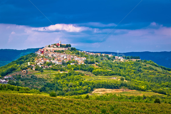 Town of Motovun on picturesque hill Stock photo © xbrchx