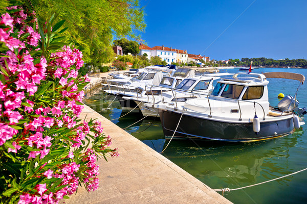 Ville turquoise bord de l'eau vue région Croatie Photo stock © xbrchx