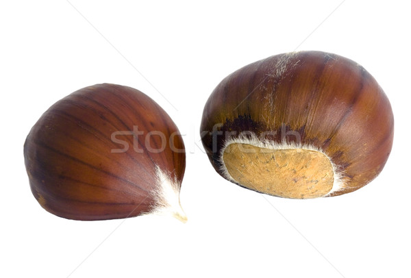 Isolated sweet chestnut (Castanea sativa) fruits Stock photo © Ximinez