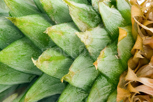 Ananas foto bladeren boom voedsel Stockfoto © Ximinez