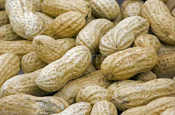 Stock foto: Erdnüsse · erschossen · Heap · ganze · Obst