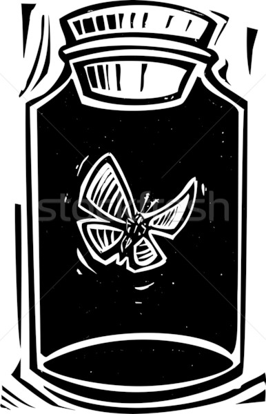 Jar stijl expressionistische afbeelding vlinder dood Stockfoto © xochicalco