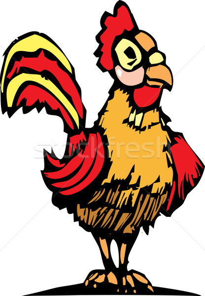 Koguta jasne czerwony żółty kurczaka Zdjęcia stock © xochicalco