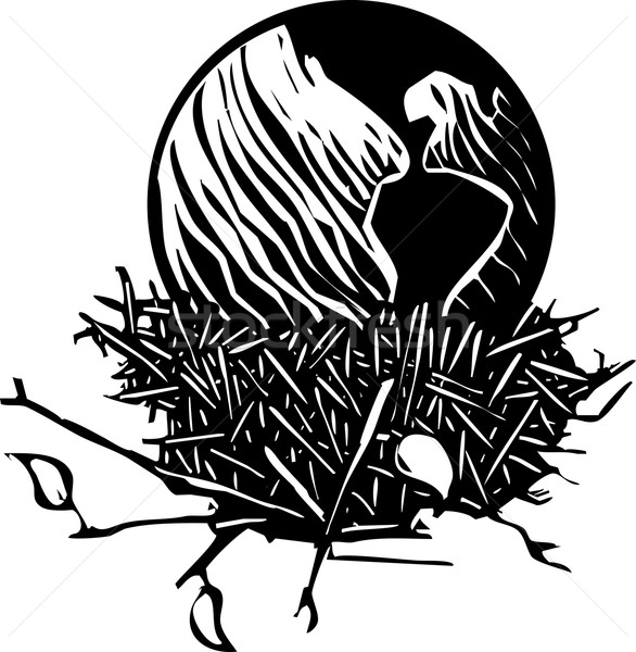 Earth Nest Stock photo © xochicalco