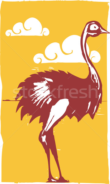 Ostrich Stock photo © xochicalco