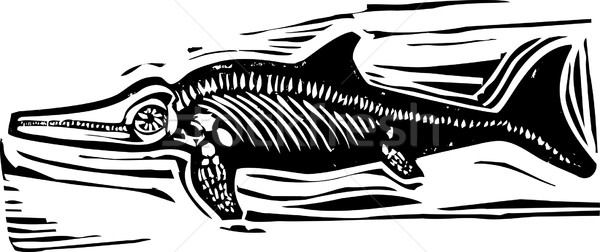 Ichthyosaur Dinosaur Fossil B Stock photo © xochicalco
