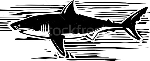 Great White Stock photo © xochicalco