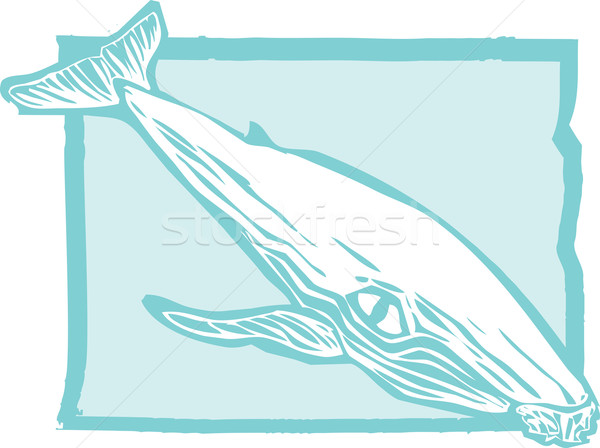 Humpback Whale 1 Stock photo © xochicalco