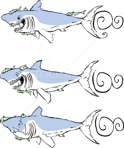 Three great white sharks Stock photo © xochicalco