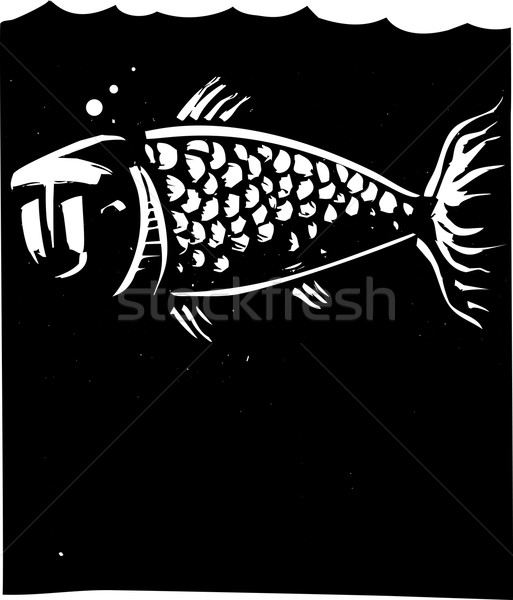 Pesce faccia stile immagine umani natura Foto d'archivio © xochicalco