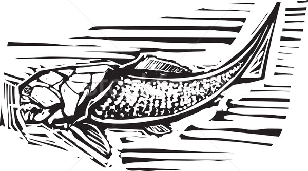Skamieniałość ryb stylu obraz starożytnych morza Zdjęcia stock © xochicalco
