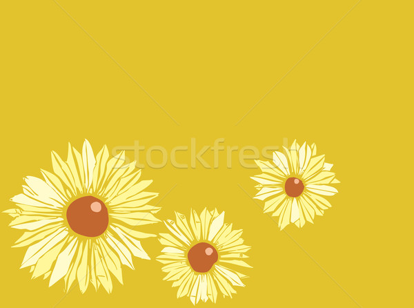 Black Eyed Susans Floral Stock photo © xochicalco