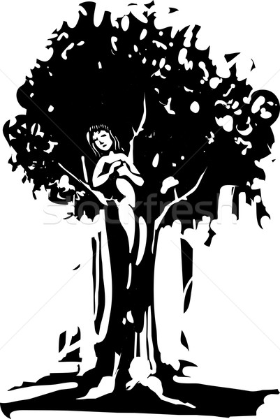 Dryad Stock photo © xochicalco