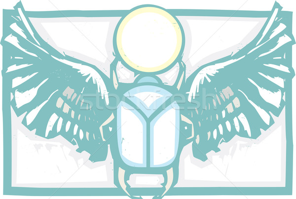 Winged Scarab Color Stock photo © xochicalco