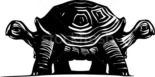 Podwoić żółwia stylu obraz dwa charakter Zdjęcia stock © xochicalco