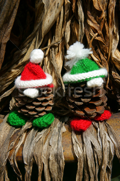 Christmas sosny gnom nosić hat Zdjęcia stock © xuanhuongho
