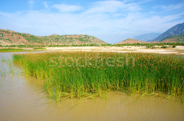 Beautiful landscape, Vietnam countryside Stock photo © xuanhuongho