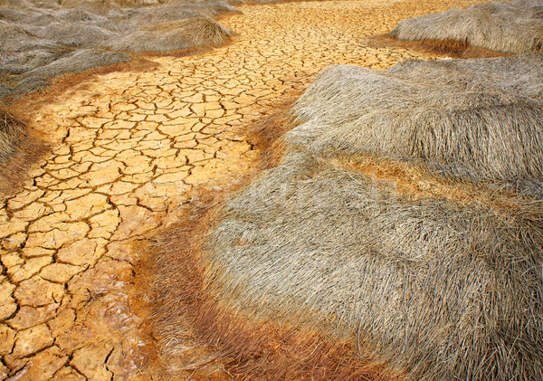 Seceta teren schimbarile climatice fierbinte vară fan Imagine de stoc © xuanhuongho