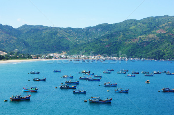Vietnam landscape, beach, mountain, ecology, travel Stock photo © xuanhuongho