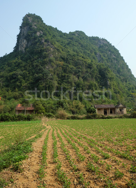 house, mountain, Quang Binh, Viet Nam, Vietnam Stock photo © xuanhuongho