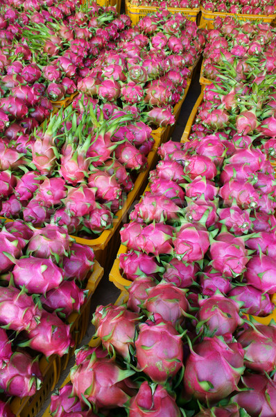 Dragon fruit, agricultural product, Vietnam Stock photo © xuanhuongho