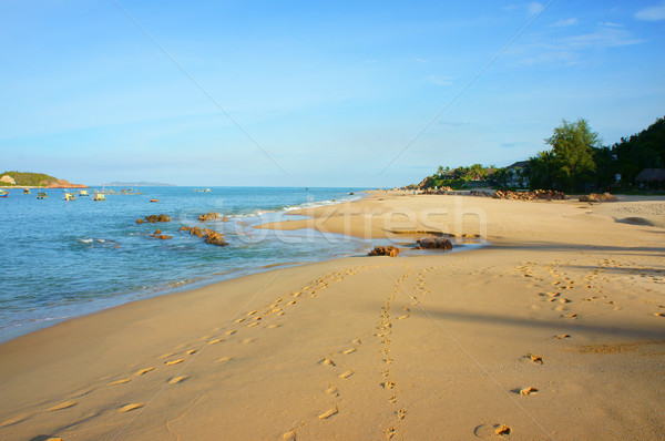 Vietnam beach, Viet Nam seashore, landscape Stock photo © xuanhuongho