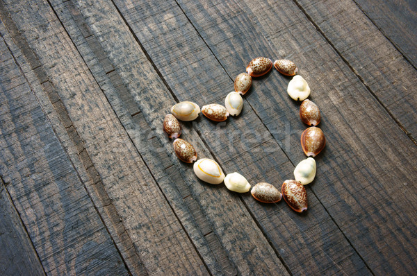 Amore shell a forma di cuore san valentino giorno messaggio Foto d'archivio © xuanhuongho