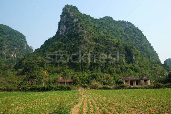 house, mountain, Quang Binh, Viet Nam, Vietnam Stock photo © xuanhuongho