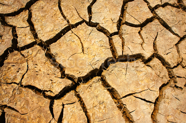 Stock photo:  drought land, climate change, hot summer