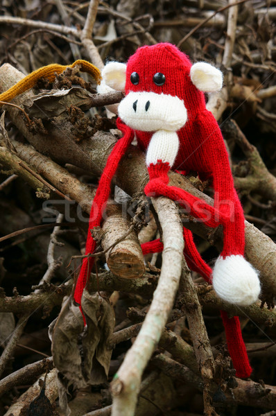 knitted lonely monkey, symbol of year 2016 Stock photo © xuanhuongho