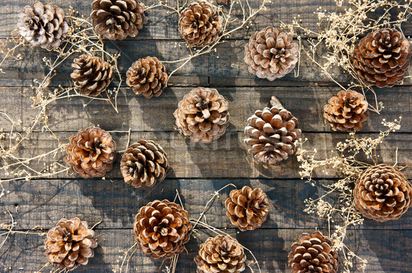 Pinho cone natal grupo Foto stock © xuanhuongho