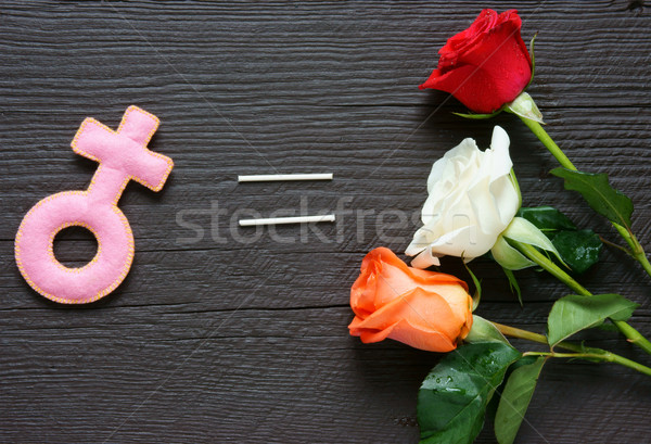 Nőies szimbólum nők piros rózsa fából készült ötlet Stock fotó © xuanhuongho