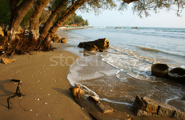 Erosion, wave destroy seawall, effect of climate change Stock photo © xuanhuongho