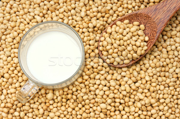 Soybean, soymilk, nutrition beverage Stock photo © xuanhuongho
