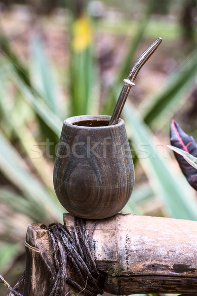 Paraguay Yerba Mate Stock photo © xura