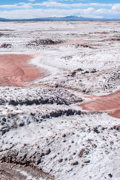 Northwest Argentina - Salinas Grandes Desert Landscape Stock photo © xura