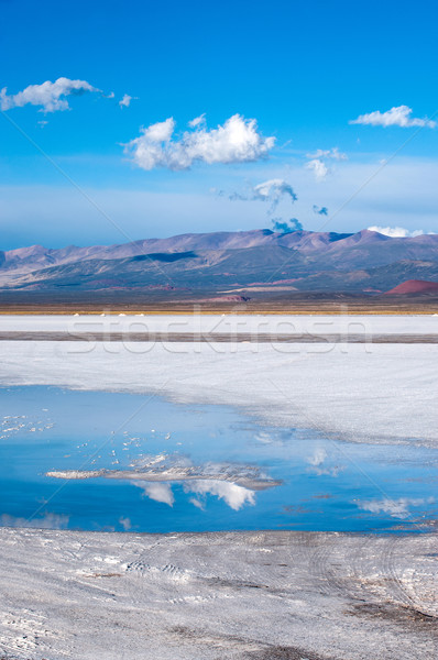 Argentina sale deserto più panorama blu Foto d'archivio © xura