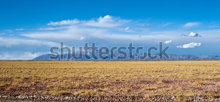 Stock photo: Northwest Argentina - Salinas Grandes Desert Landscape