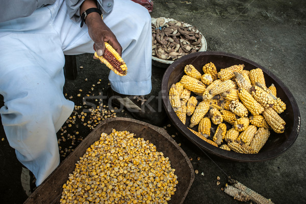 Corn Harvest In The Andes  Stock photo © xura
