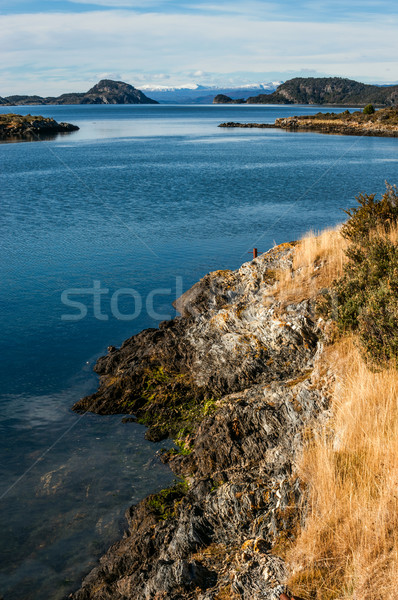 End of the Fireland, Tierra del Fuego. Lapataia Bay in Tierra de Stock photo © xura